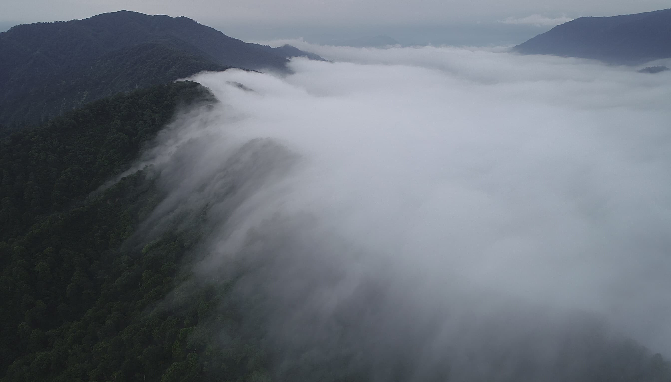 dji_0018.jpg