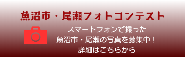 魚沼市・尾瀬フォトコンテスト